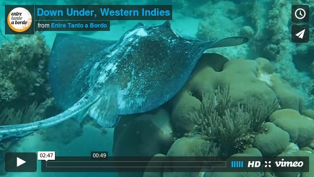Down under, Western Indies 